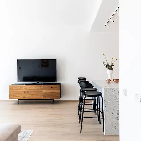 Kadriorg Plaza 2 Bedroom Free Parking 塔林